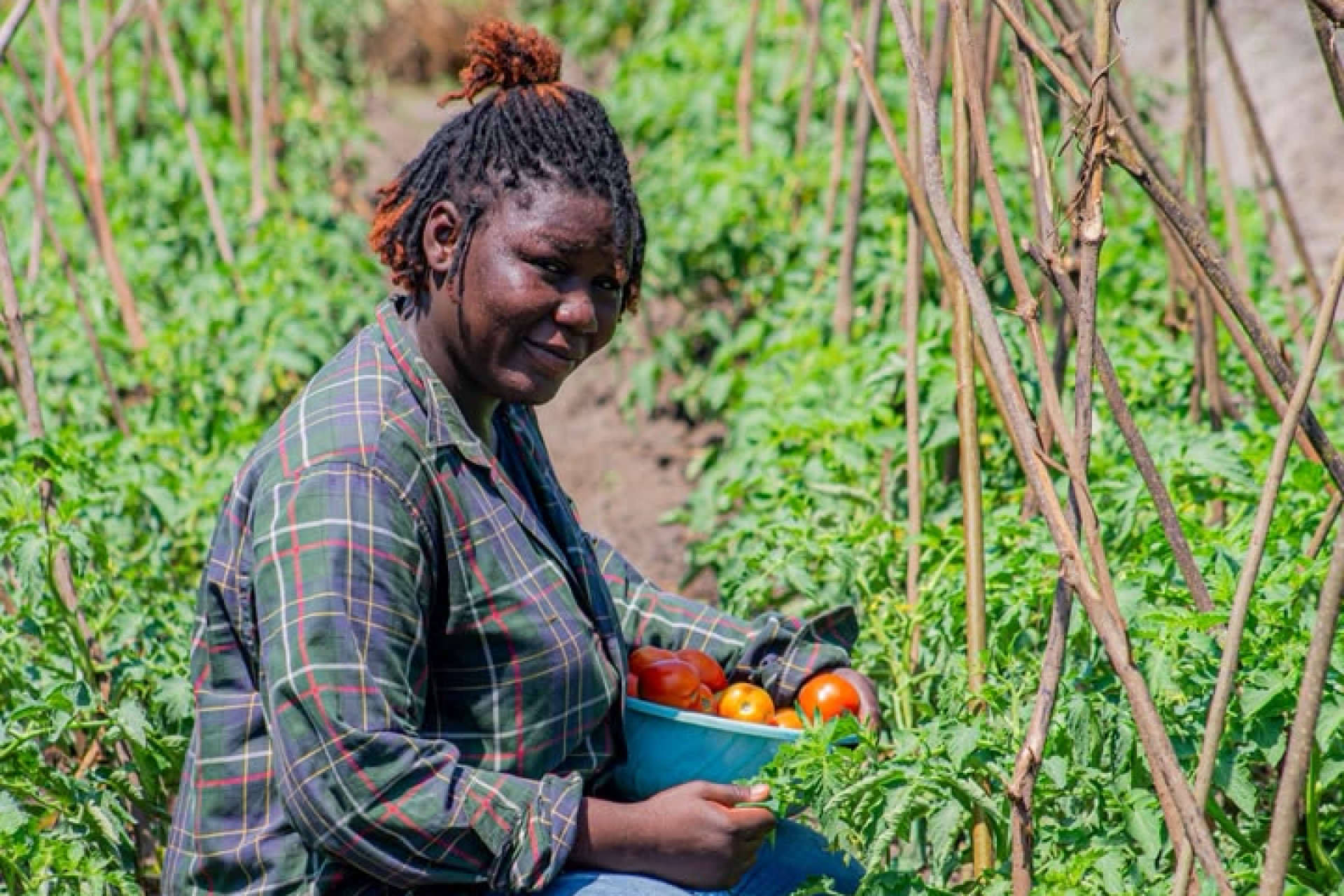 Josiane Tambassoua, entrepreneure agricole : de la récompense à l’action